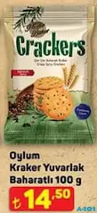 OYLUM KRAKER YUVARLAK BAHARATLI 100 G fiyat ve kampanya bilgisi